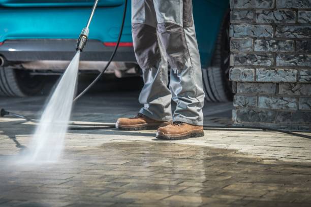 Animal Enclosure Cleaning in Seaside, OR